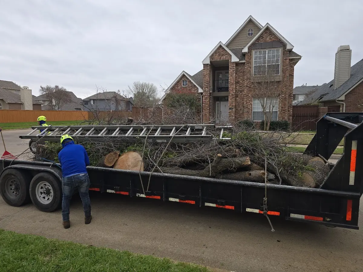 Expert Lot Clearing with proper safety equipment in Genoa